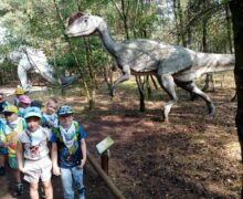 grupa-biedronki-park-dinozaurów