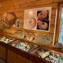 IMG-20250612-WA0028