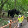 IMG-20250612-WA0052