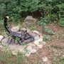 IMG_20250610_090351
