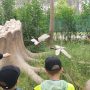 IMG_20250610_090414