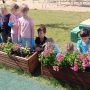 IMG_20260504_110949