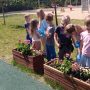 IMG_20260504_110952