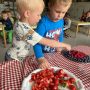 IMG-20250519-WA0029