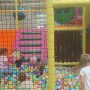 IMG_20260901_112059