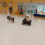 IMG_20260930_103707