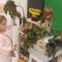 IMG_20261008_113004