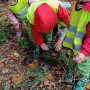 IMG_20261012_104916